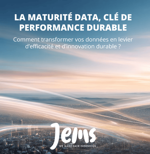 Livre blanc maturité data